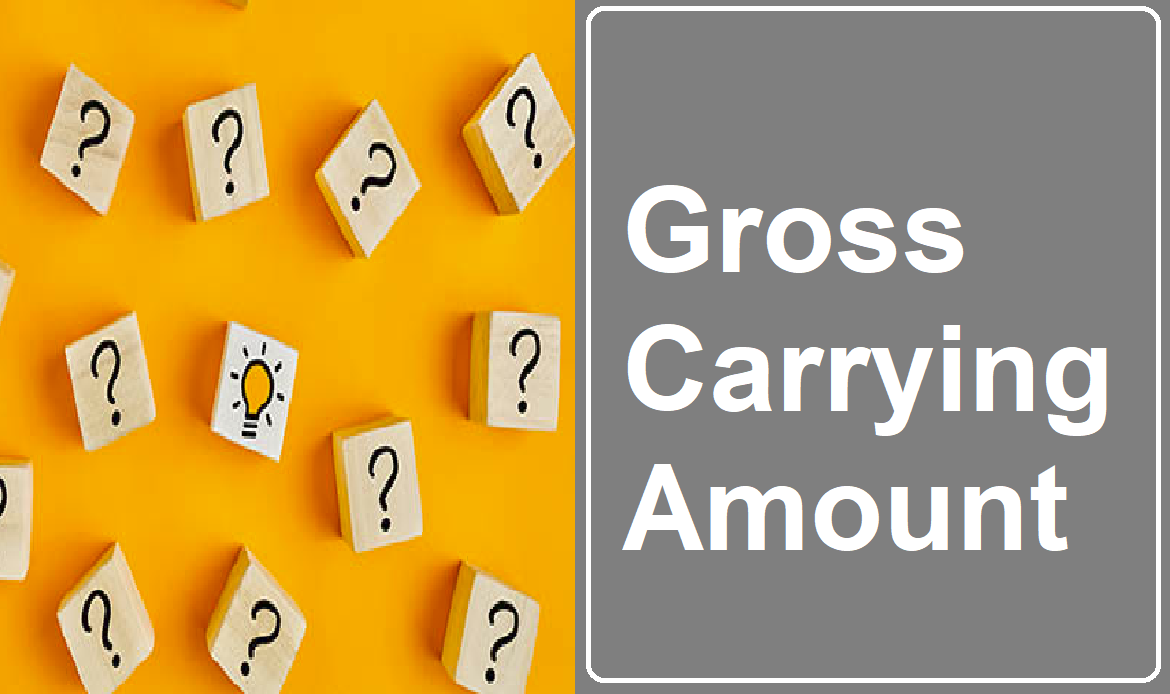 Gross Carrying Amount