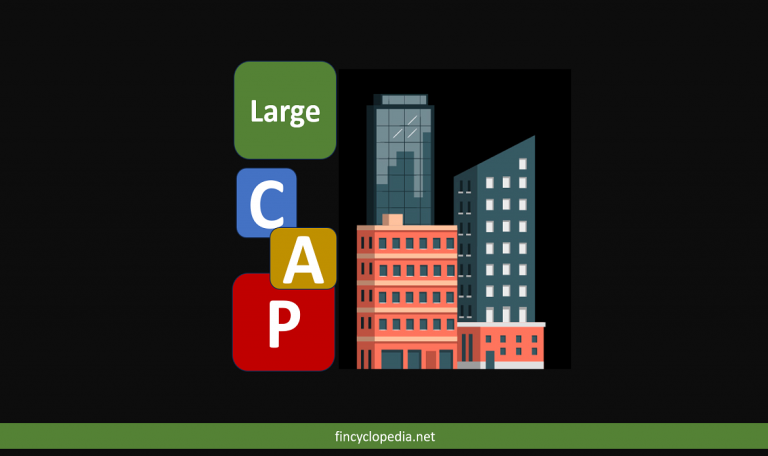 Large Cap