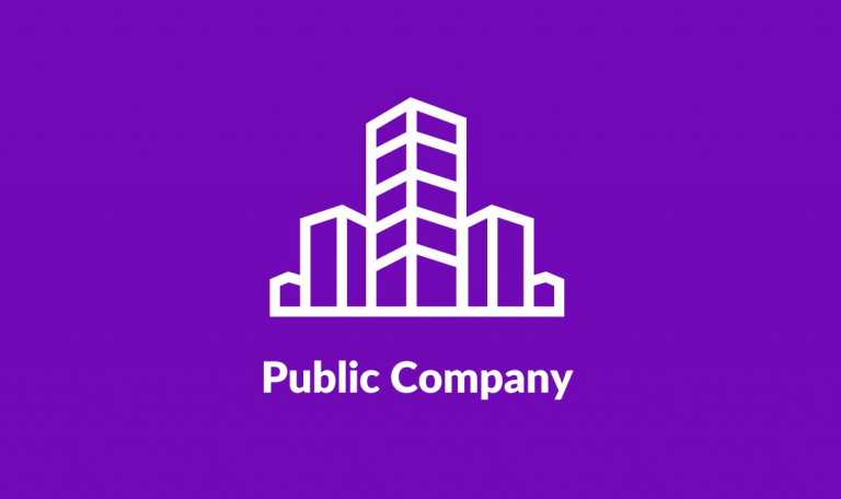 Public Company