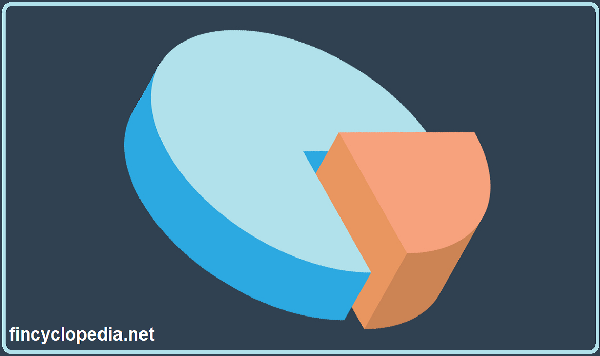 Carve-Out Financial Statement