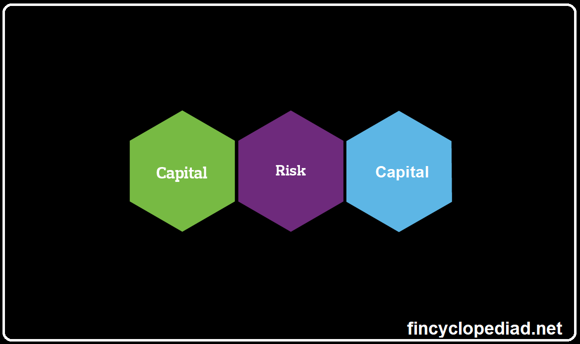 Risk Capital