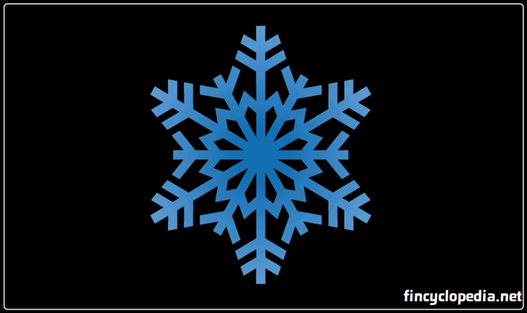 Cold Crypto Wallet